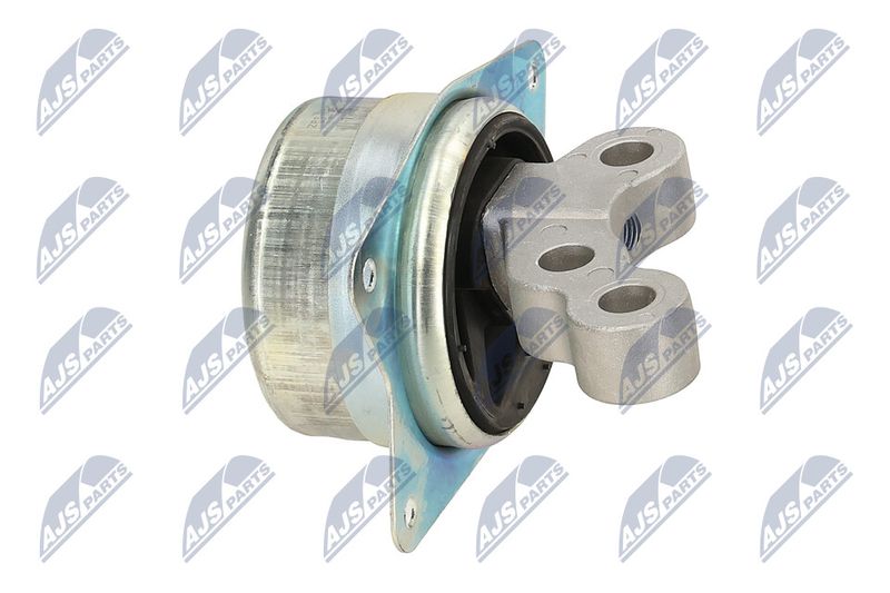 Paigutus, Mootor, NTY ZPS-PL-049