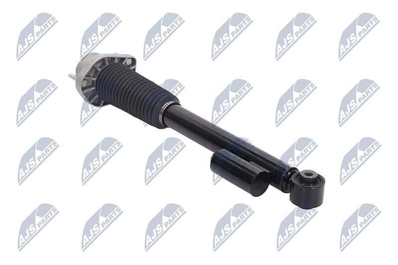 Amort, NTY A-LR-020
