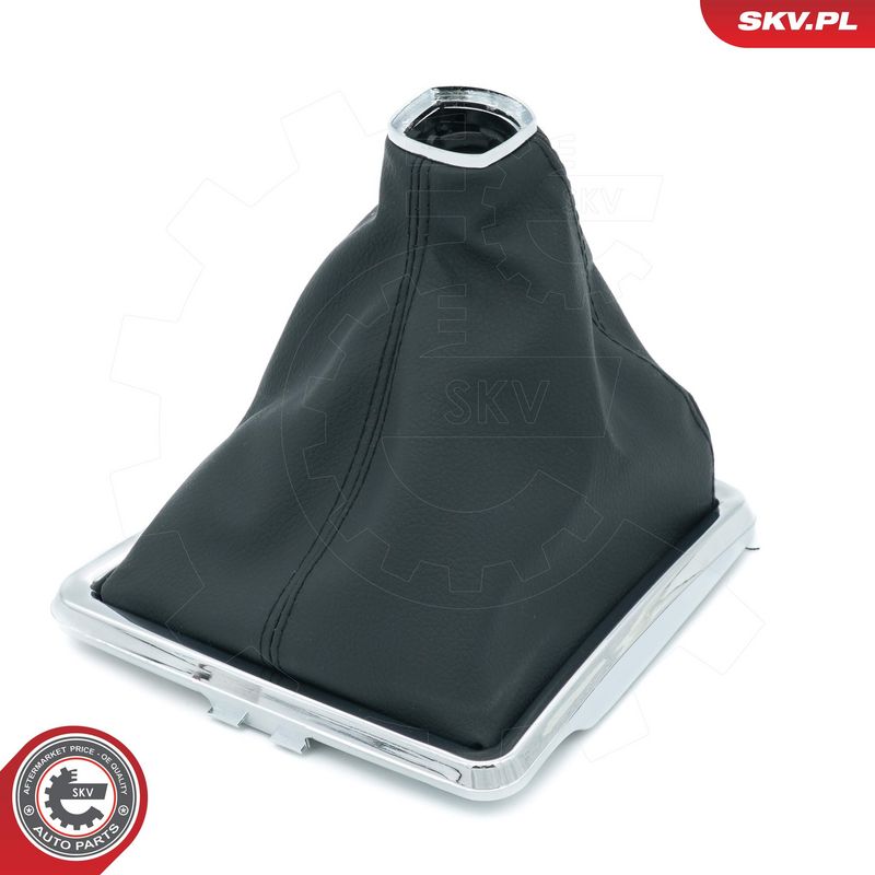 Käigukanginupp, ESEN SKV...