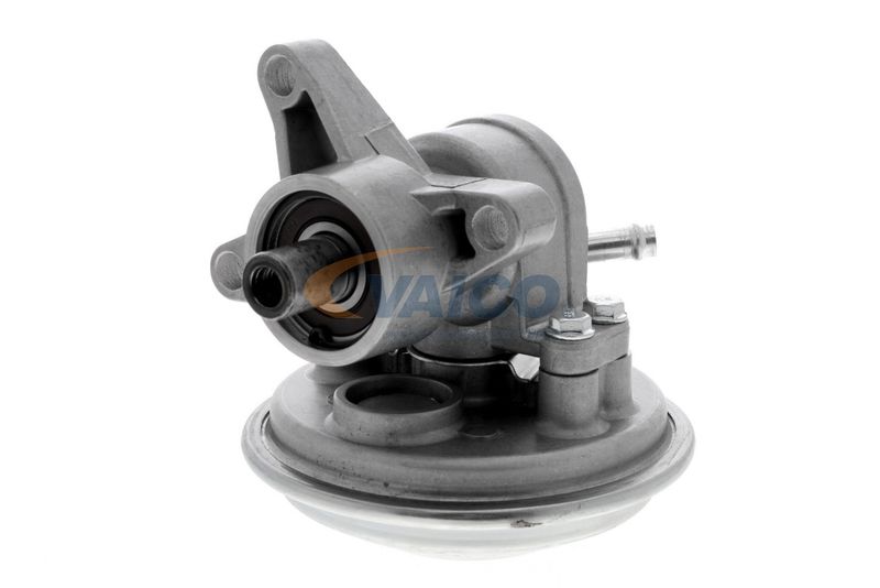 VAICO V25-1907 Mounting, engine
