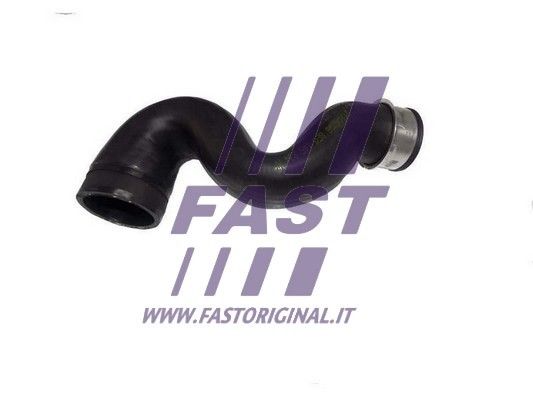 FT61858_1_1.JPG