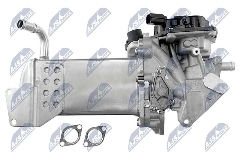 egr-vw-024_4-wm.JPG