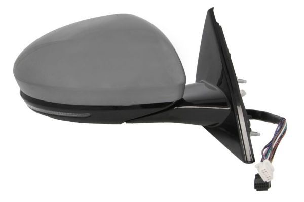 BLIC 5402-09-1243319P Exterior Mirror
