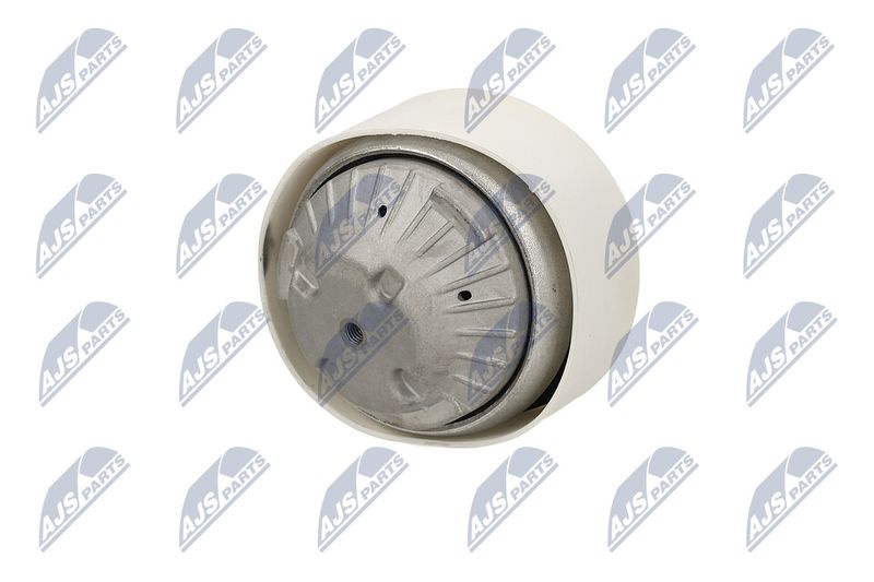 Paigutus, Mootor, NTY ZPS-ME-109