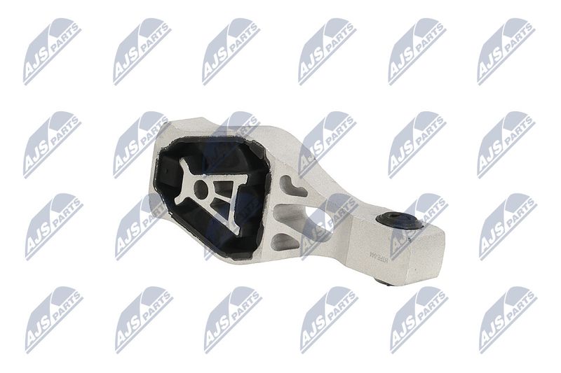Paigutus, Mootor, NTY ZPS-PE-044