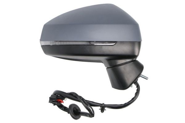 BLIC 5402-25-0047313P Exterior Mirror