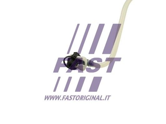 FT39557_2_1.JPG