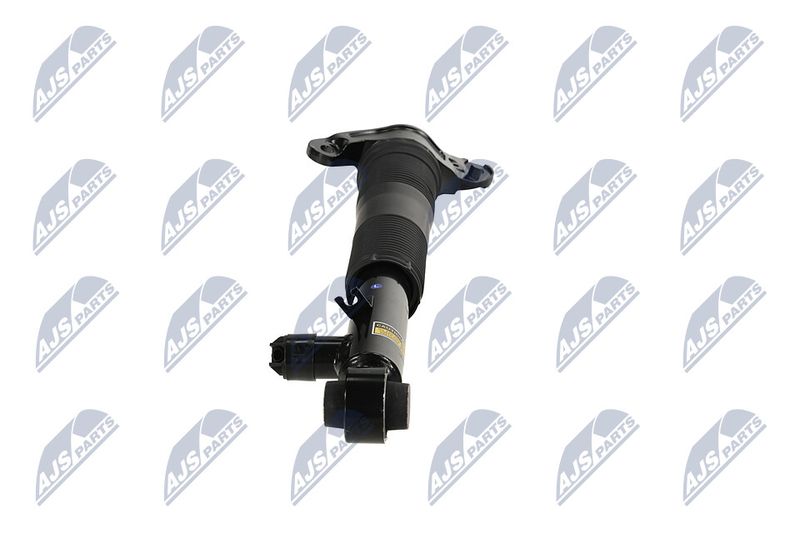 Amort, NTY A-LR-036