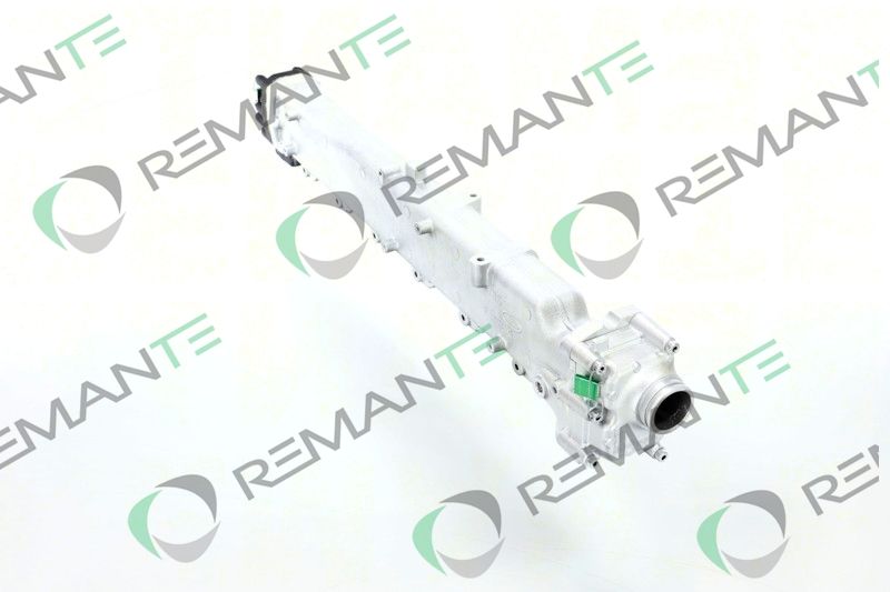 REMANTE 010-001-000027R EGR Module