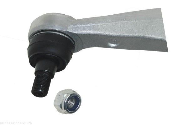 AUTOMEGA 110061110 Control/Trailing Arm, wheel suspension