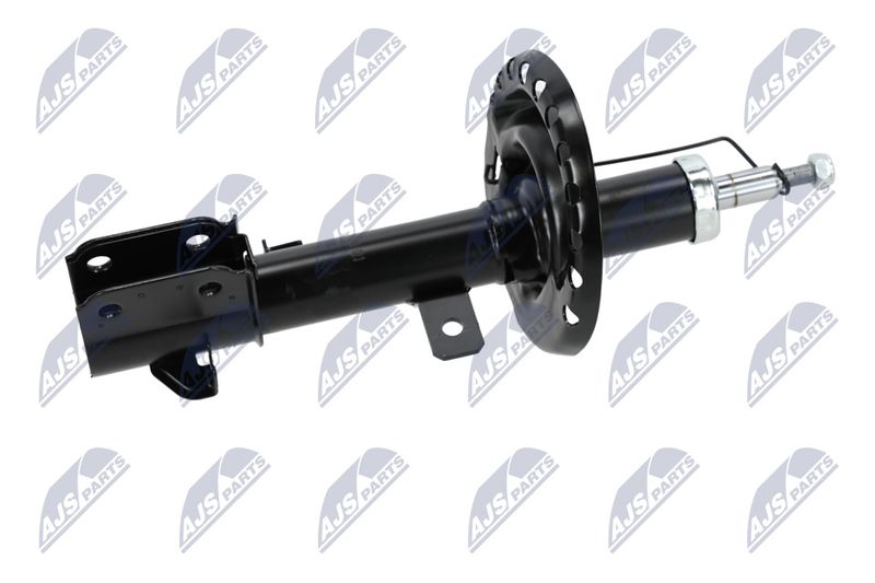 Amort, NTY A-NS-023
