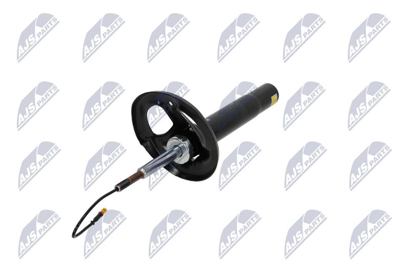 Amort, NTY A-PS-012