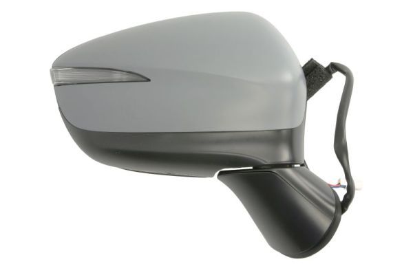 BLIC 5402-14-1905313P Exterior Mirror
