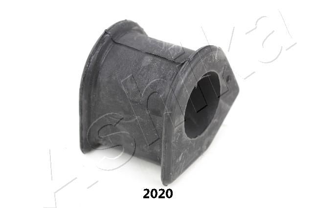 GOM-2020_1.JPG
