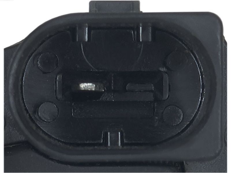 412679.JPG