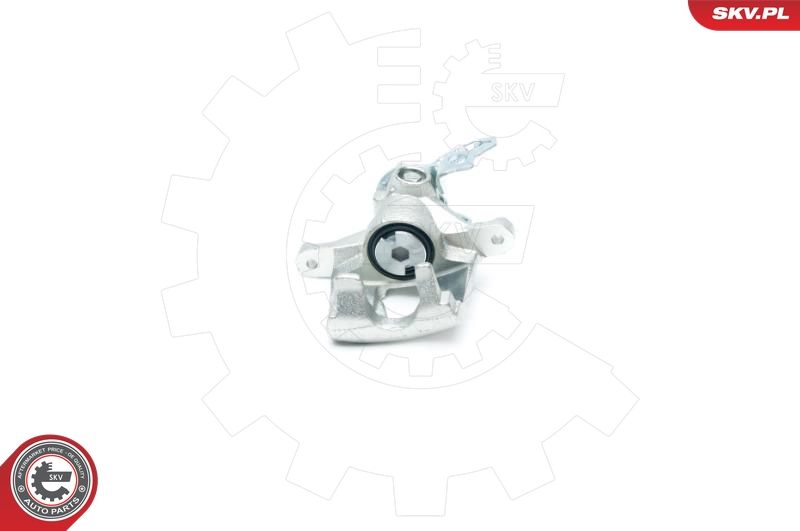 ESEN SKV 23SKV193 Brake Caliper