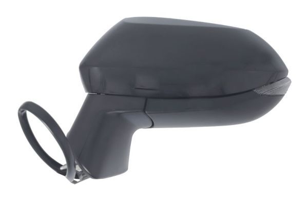 BLIC 5402-04-2176322P Exterior Mirror