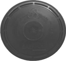 PT007.JPG