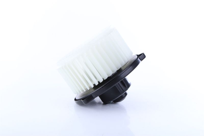 Salongipuhur, NISSENS 87615