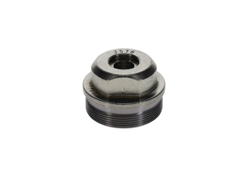 BOSCH F 002 D13 576 Screw