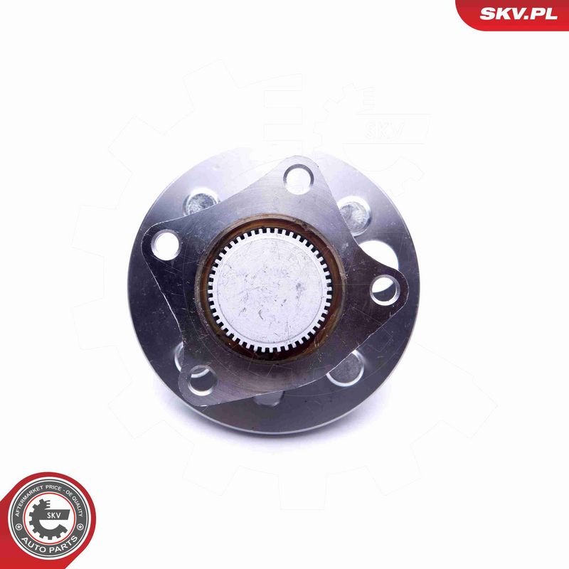 ESEN SKV 29SKV242 Wheel Bearing Kit