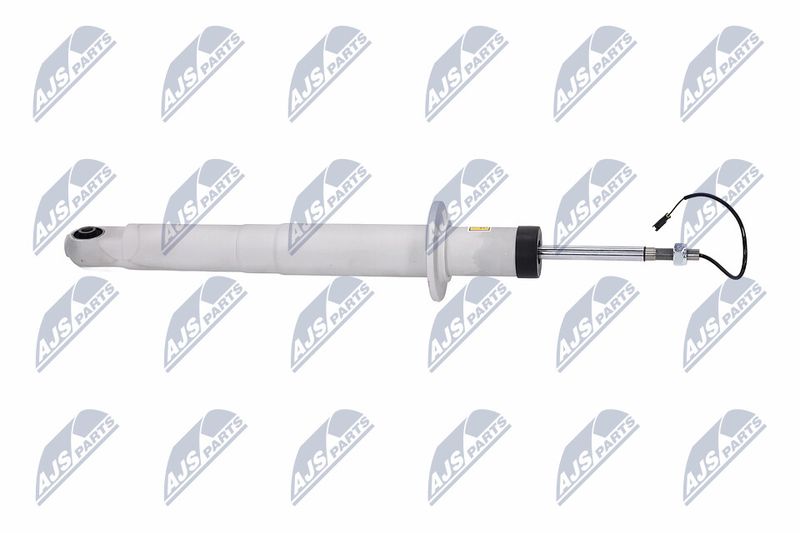 Amort, NTY A-MA-003