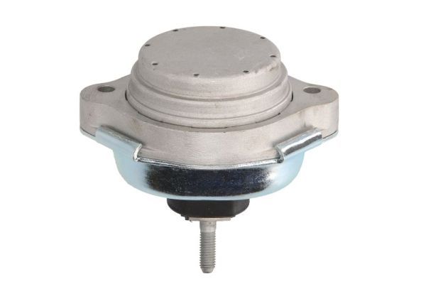 REINHOCH RH11-3061 Mounting, engine