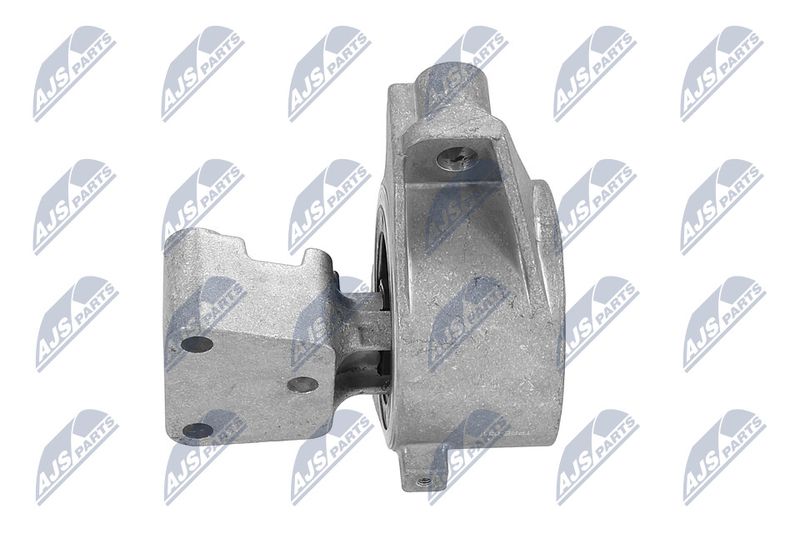 Paigutus, Mootor, NTY ZPS-PE-031