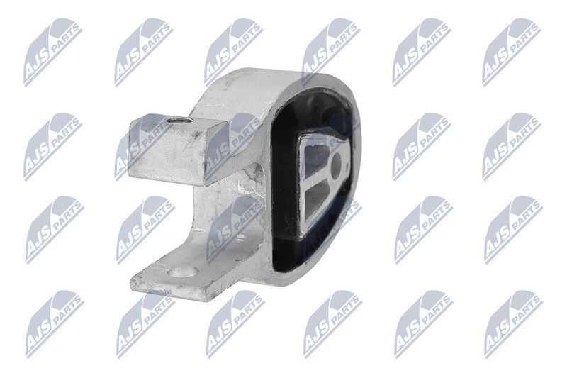 Paigutus, Mootor, NTY ZPS-FR-010