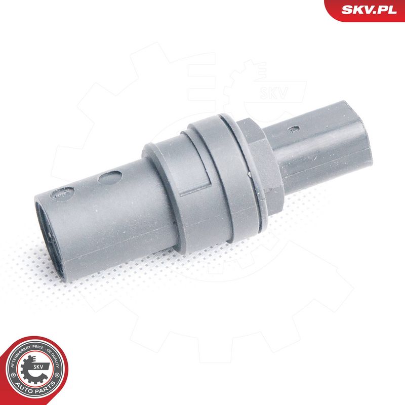 Andur, kiirus, ESEN SKV 17SKV356