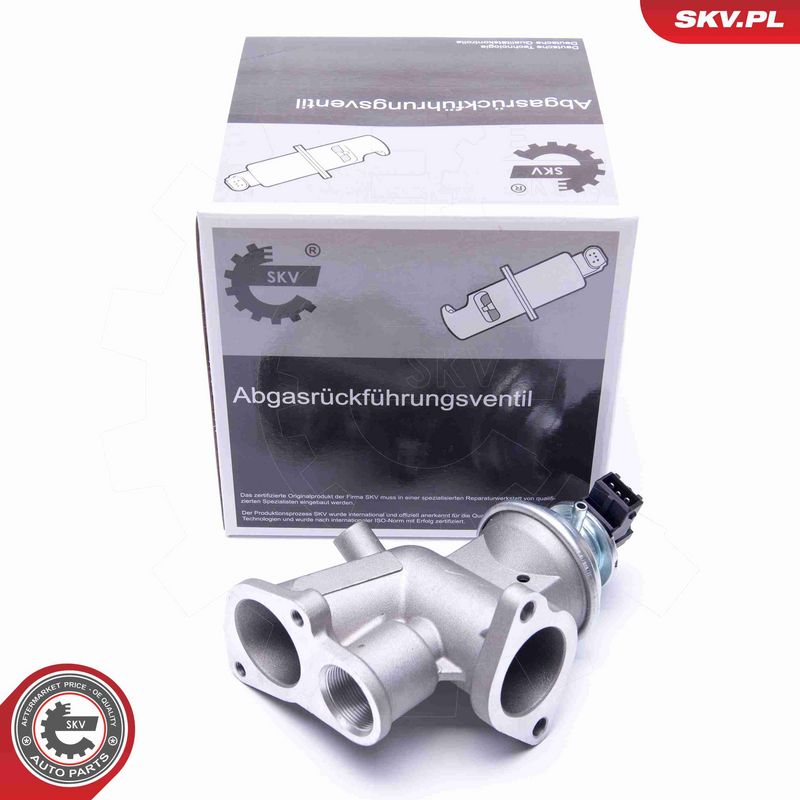 ESEN SKV 14SKV181 EGR Valve
