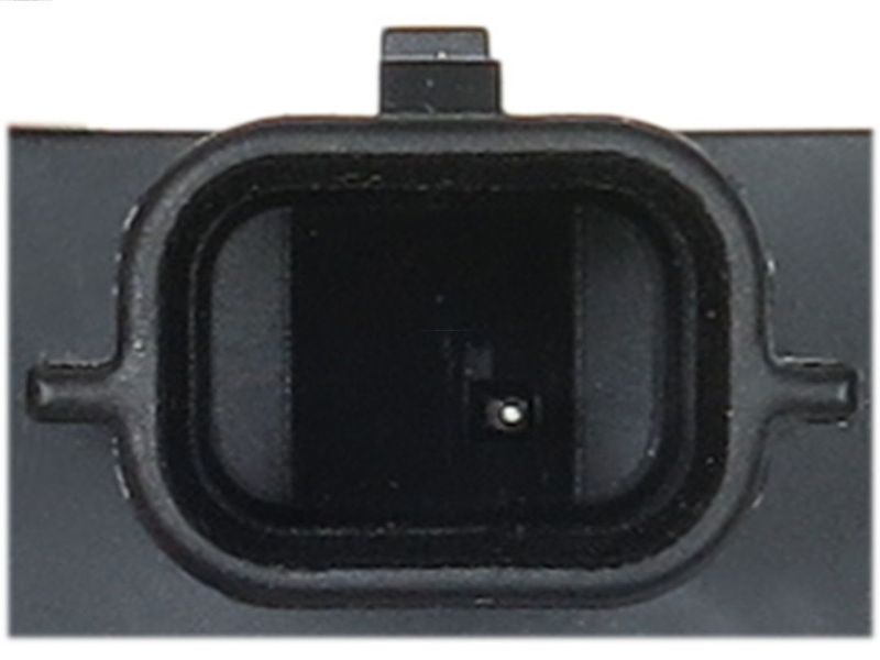196515.JPG