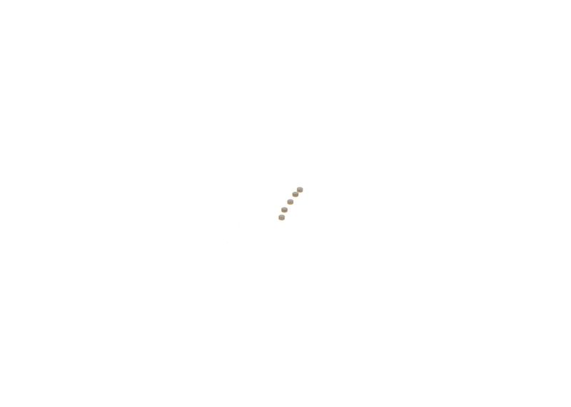 BOSCH F00ZC99736 Repair Kit, common rail system