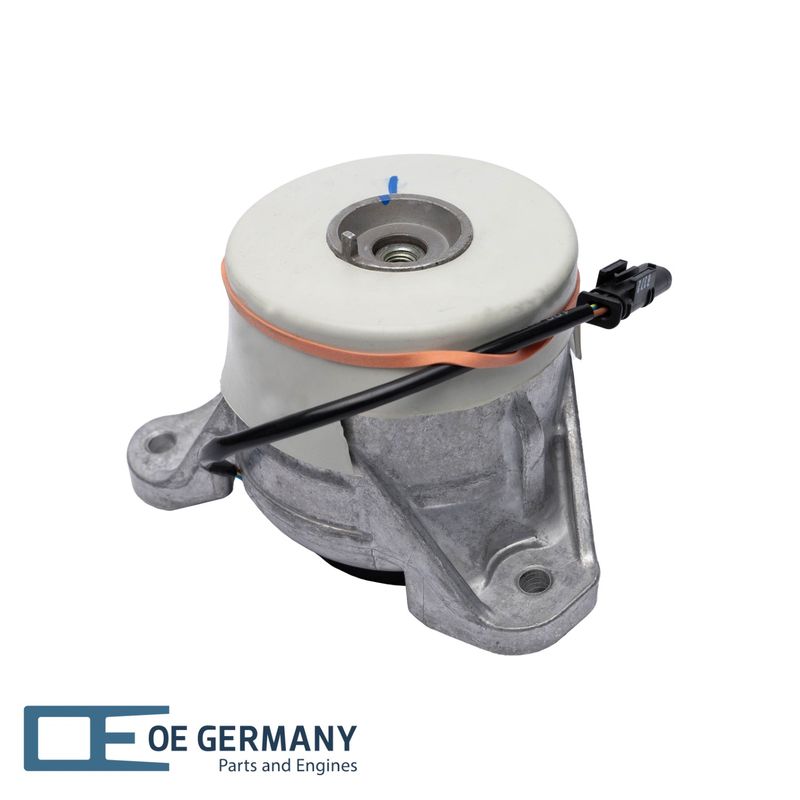 801186-1-V1-OEG.JPG