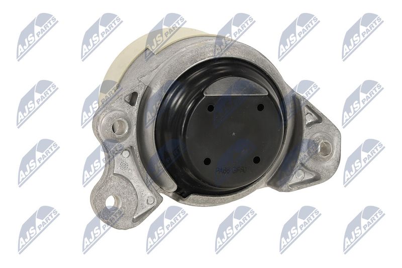 Paigutus, Mootor, NTY ZPS-ME-051