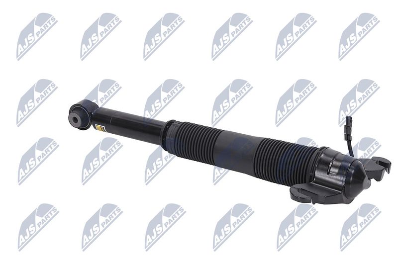 Amort, NTY A-LR-021