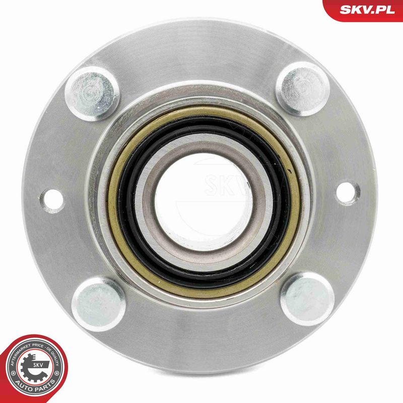 Rattalaagrikomplekt, ESEN SKV 29SKV617