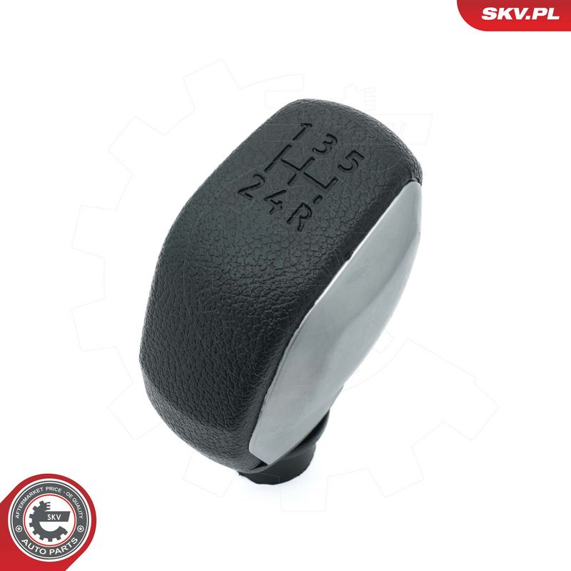 Käigukanginupp, ESEN SKV...