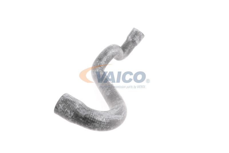 VAICO V30-1578 Radiator Hose