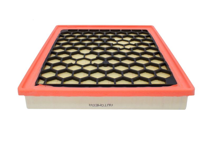 AUTOMEGA 180022610 Air Filter