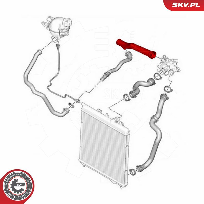 ESEN SKV 54SKV188 Coolant Pipe