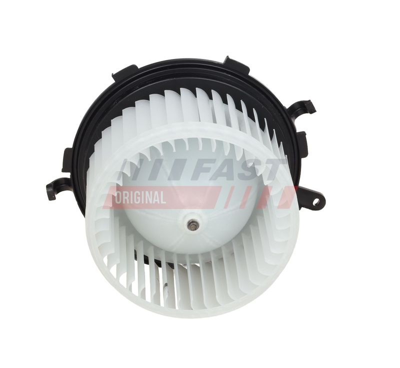 Salongipuhur, FAST FT13831