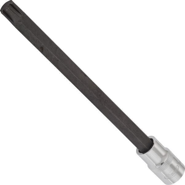 Padrun, VIGOR V2231