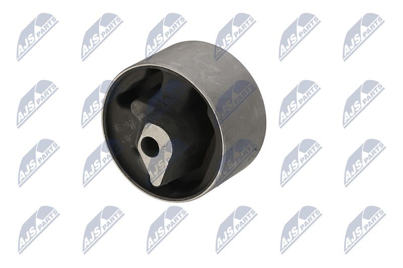 Paigutus, Mootor, NTY ZPS-CH-040