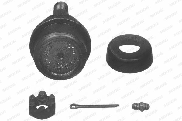 AMGK3134T_19047.JPG