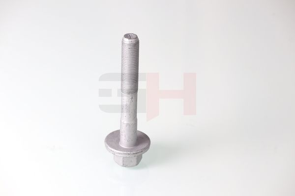 GH GH-399901 Camber Correction Screw