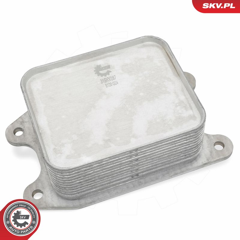 Prekės atitinka OEM kodą: 04E 117 021 B