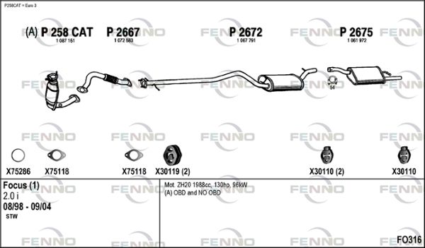 FO316.JPG