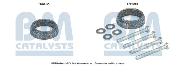 BM CATALYSTS szerelőkészlet, katalizátor FK90545