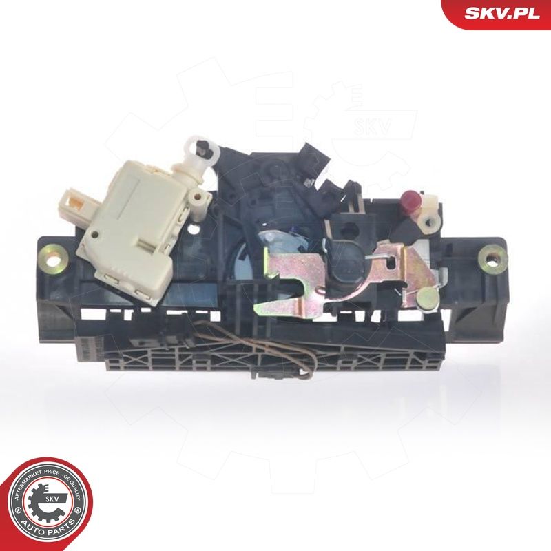 Tagaluugi sulgur, ESEN SKV...